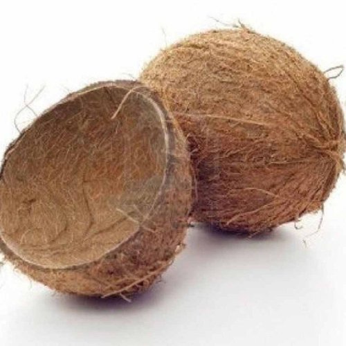 Sun Dried Coconut Shell