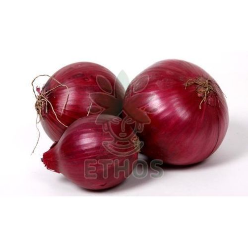 Fresh Red Onion