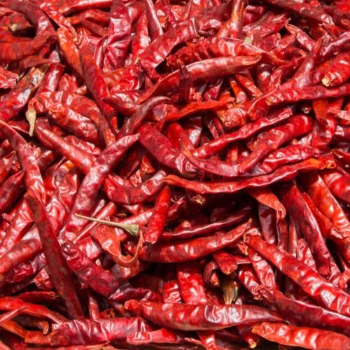 Guntur Dried Red Chilli