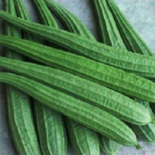 Fresh Ridge Gourd