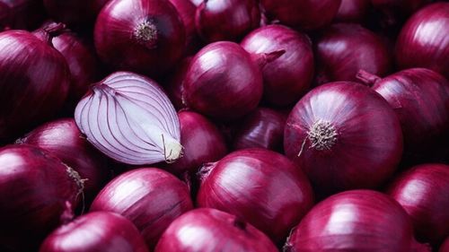 Fresh Premium Red Onion