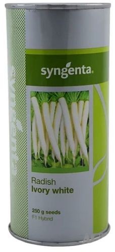 Syngenta Ivory White Hybrid Radish Seed