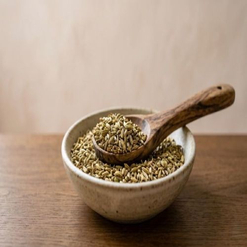 Fennel Seeds