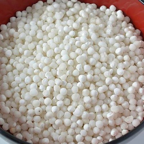 Sabudana Seeds