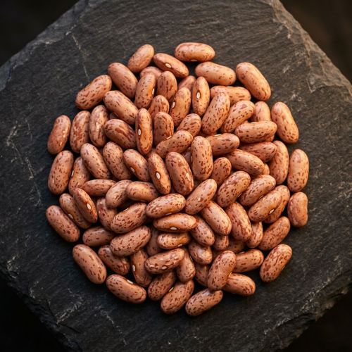 Light Speckled Kidney Beans
