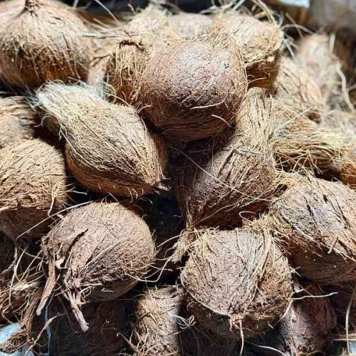 Farm Fresh Semi Husked Coconut