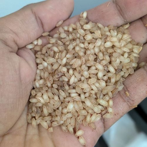 Full Polished Matta Rice