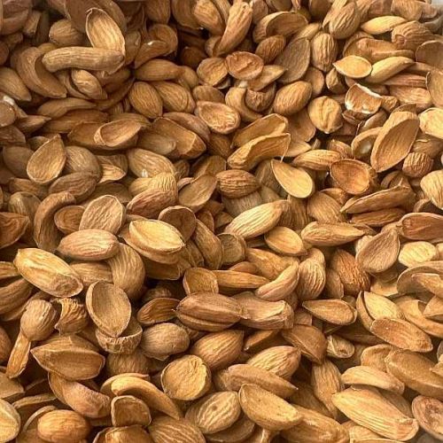 Kashmiri Curved Mamra Almond Nuts