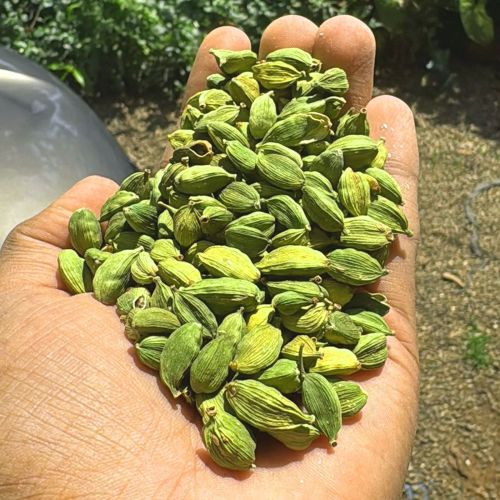 6mm Green Cardamom
