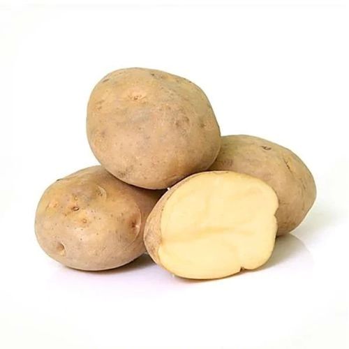 Fresh Chipsona Potato