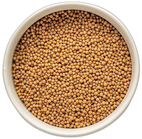 Yellow Mustard Seeds