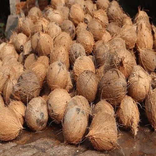 Semi Husked Coconut