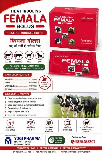Heat Inducing Femala Bolus