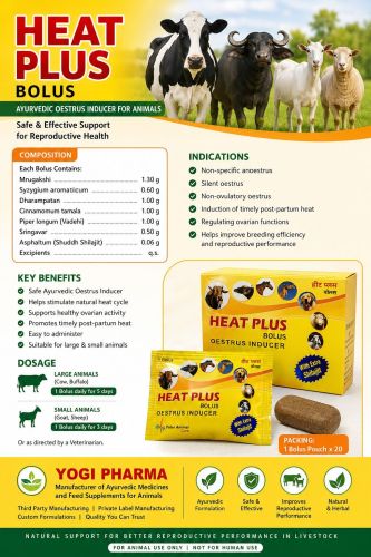 Heat Plus Bolus