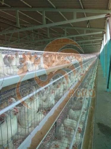 Layer Battery Cages Poultry Equipment