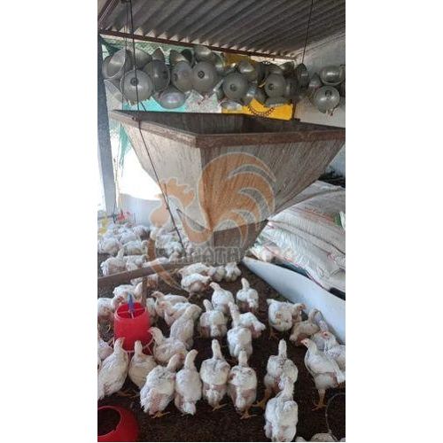 Poultry Chick Feeder