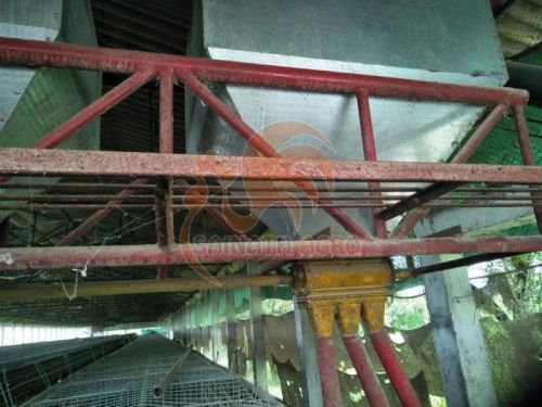 Poultry Feed Trolley System