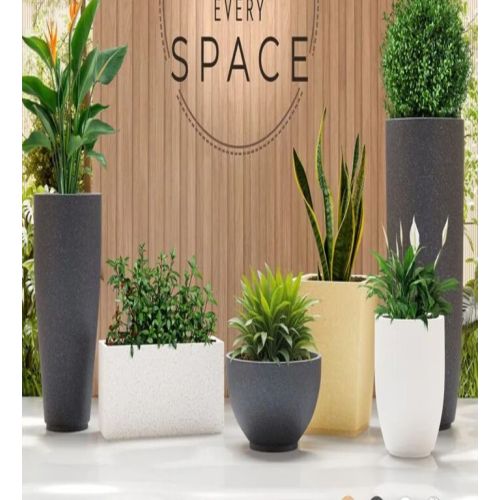 Office Indoor Planter