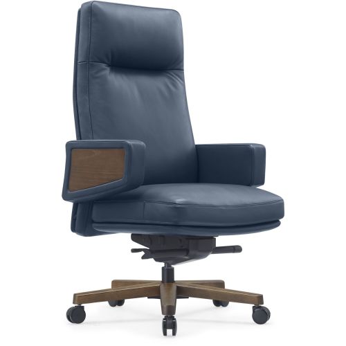 Office Director Chairs