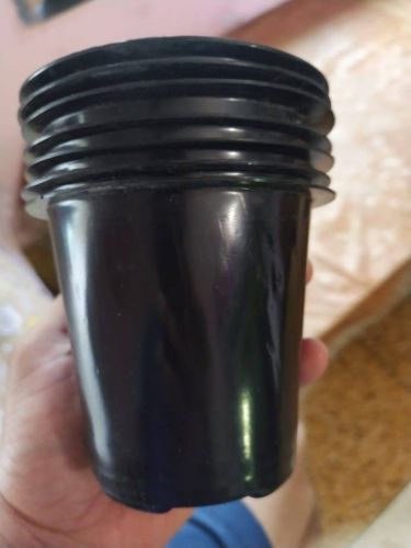 Black Plastic Nursery Pots