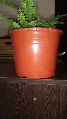 Orange Plastic Nursery Pots