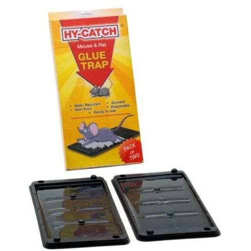 Jumbo Rat Glue Trap