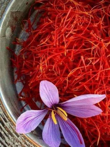 Kasmiri Kesar Saffron