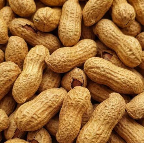 Whole Peanut With Shell