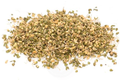 Dehydrated Sprouted Moong