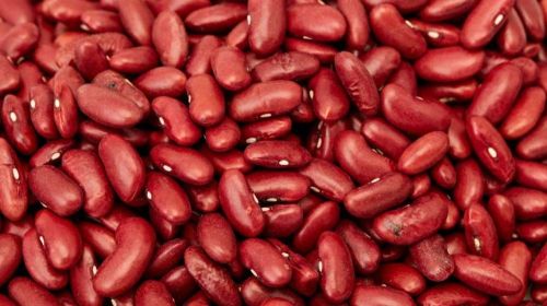 Rajma Beans