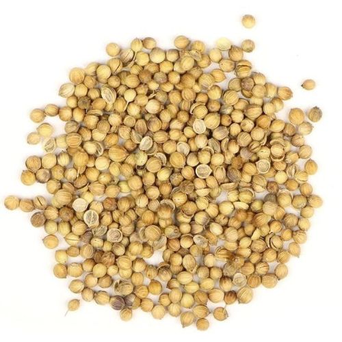 Premium Coriander Seeds