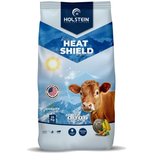 Heat Shield