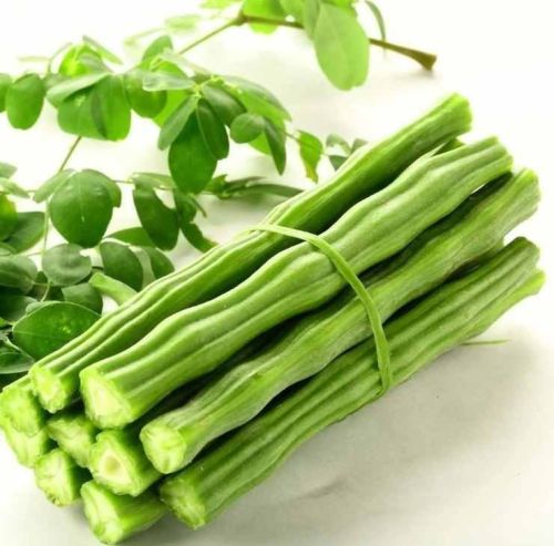 Fresh Moringa Stick