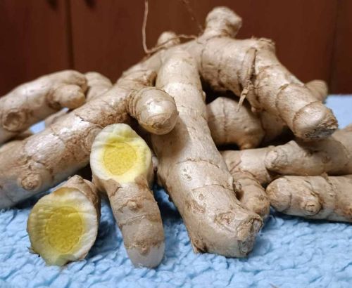 Kasturi Raw Turmeric