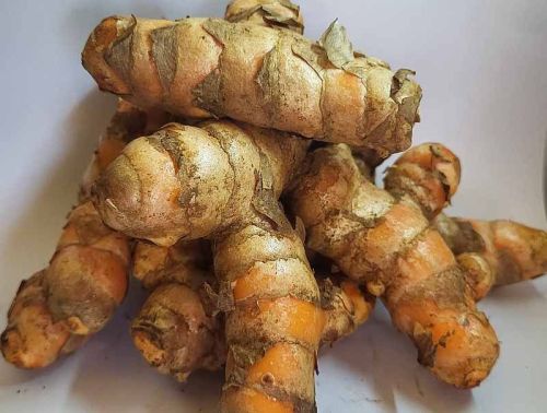Prabha Raw Turmeric
