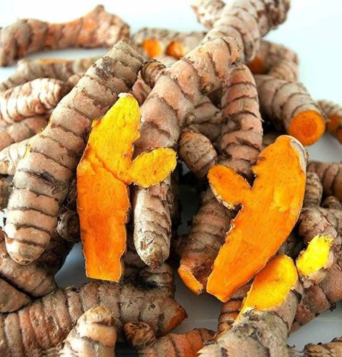 Rajapuri Raw Turmeric