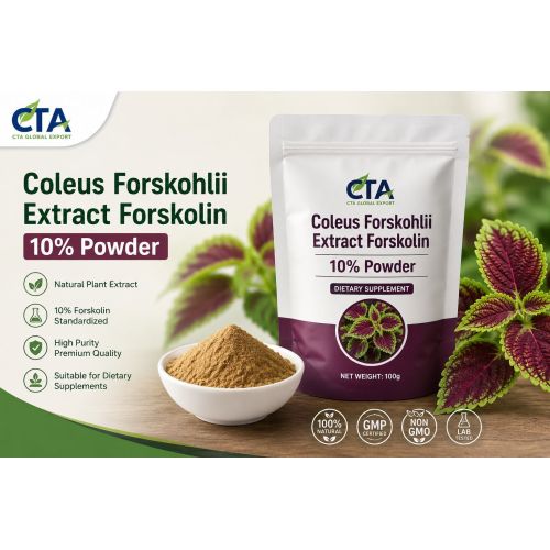 Coleus Forskohlii Extract Forskolin 10% Powder