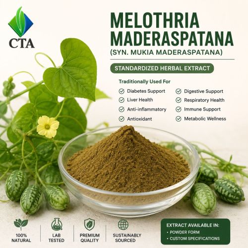 Melothria Maderaspatana Extract Powder