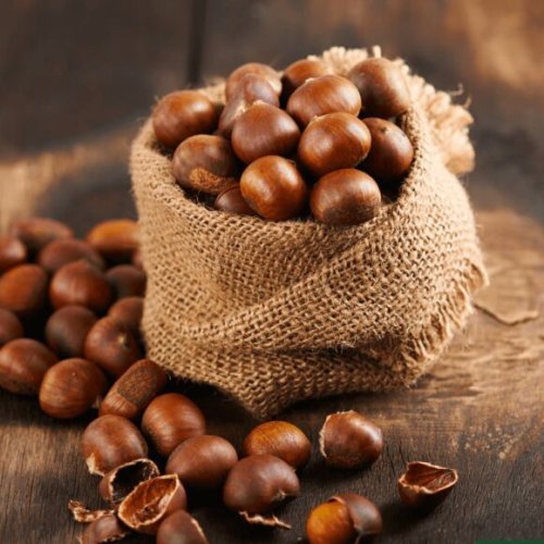 Natural Chest Nut