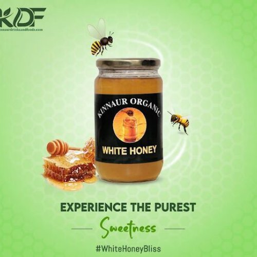 Organic White Honey
