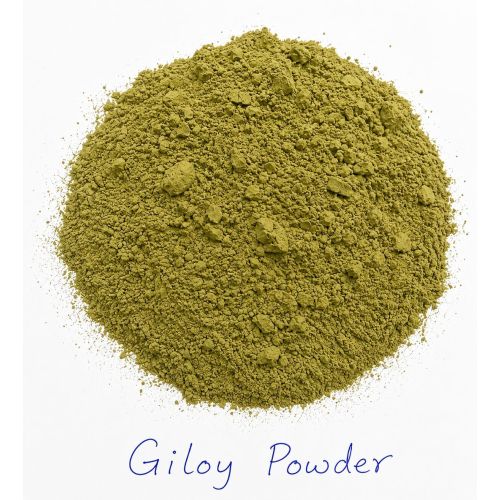 Guduchi Powder
