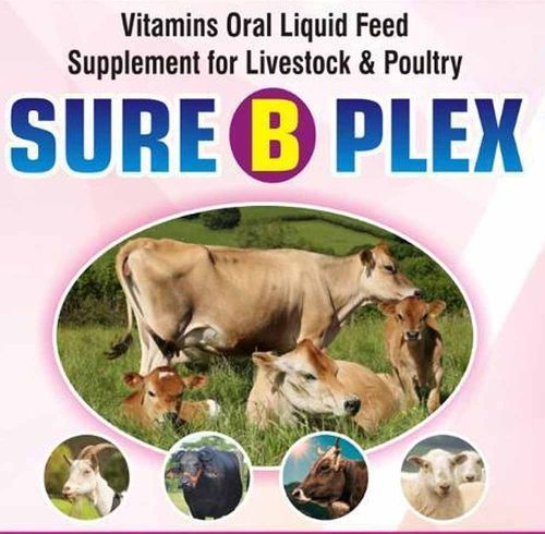 Sure B Plex Liquid Feed Supplement