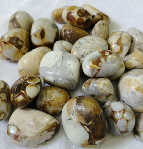 Eagle\'S Eye Tumbled Stones