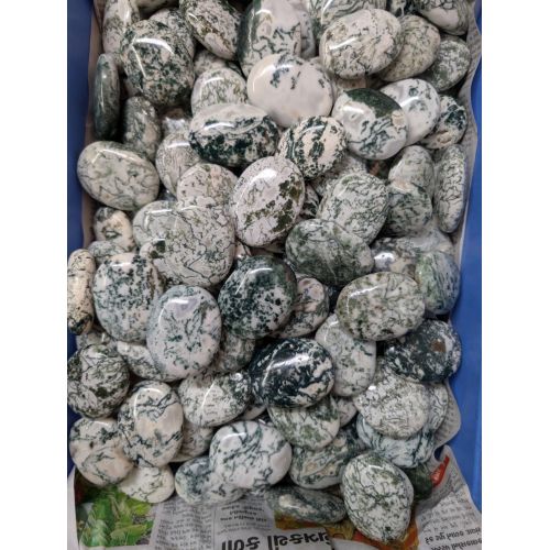 Tree Agate Palm Stone
