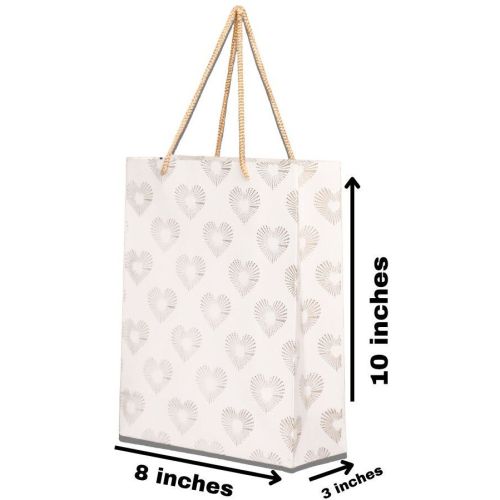 Designer Paper Gift Bag