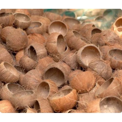 Coconut Shell