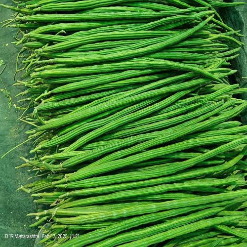 Farm Fresh Drumstick