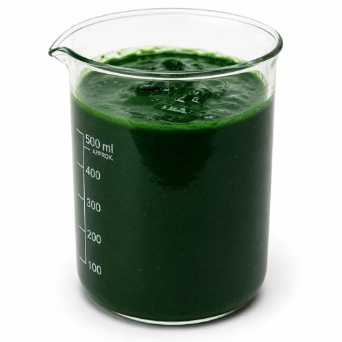 Spirulina Slurry Powder