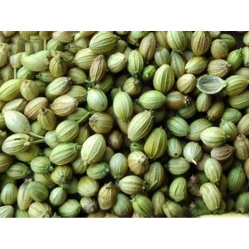 Corainder Seeds