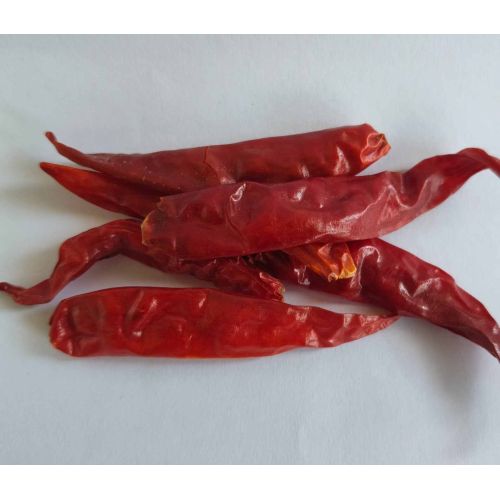 Mahi Teza Dry Red Chilli